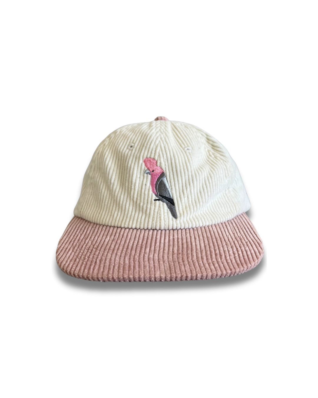 The Galah Lid