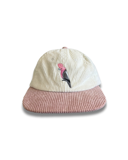 The Galah Lid