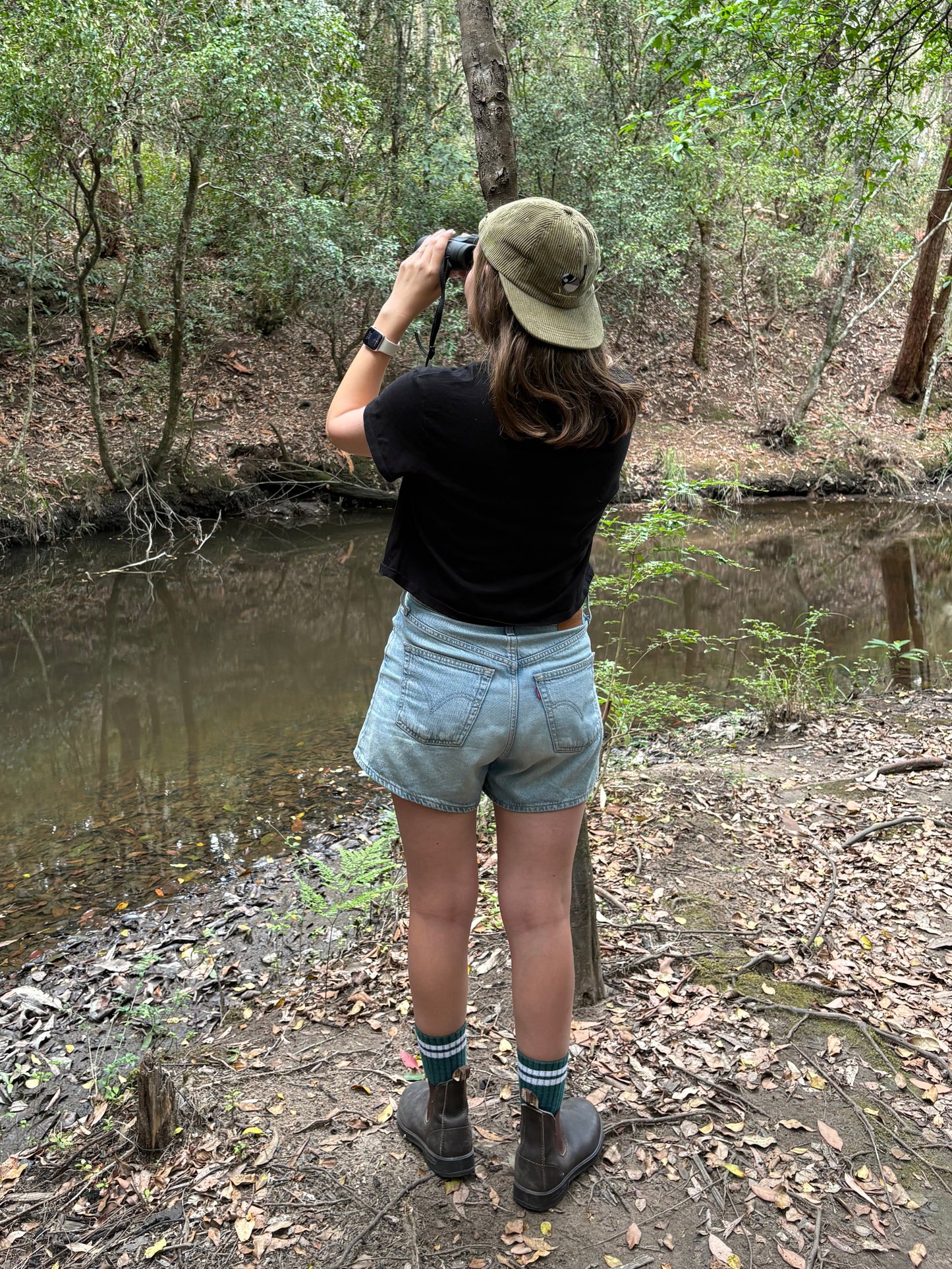 Superb Fairy-Wren hat